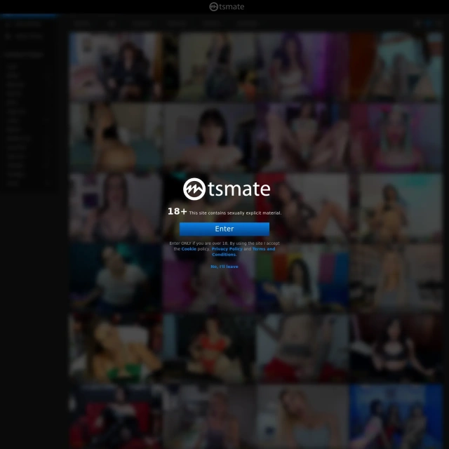 TSMate